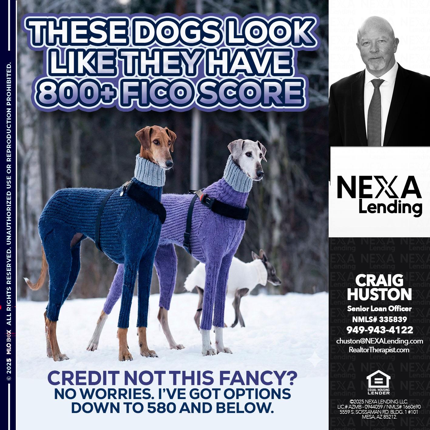 THESE DOGS LOOK - Craig Huston -Senior Loan Officer